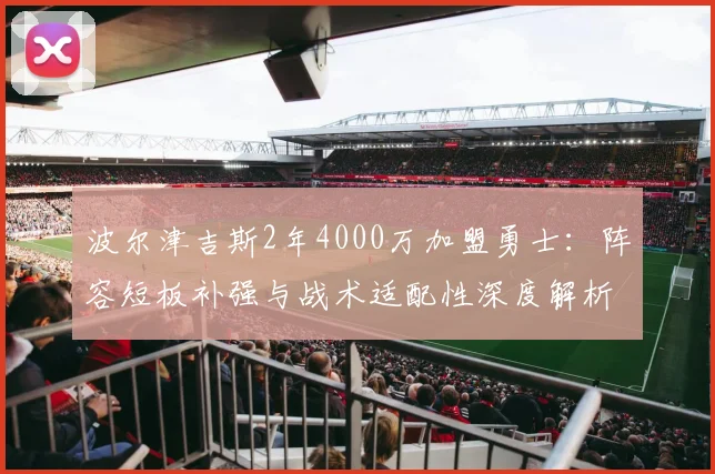 波尔津吉斯2年4000万加盟勇士:阵容短板补强与战术适配性深度解析